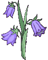 flores imágenes-animadas-gif